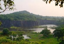 4-5 मिनिटे वाचवण्यासाठी, प्रस्तावित रस्ता धोकादायक वेताळ टेकडी | पुणे बातम्या
